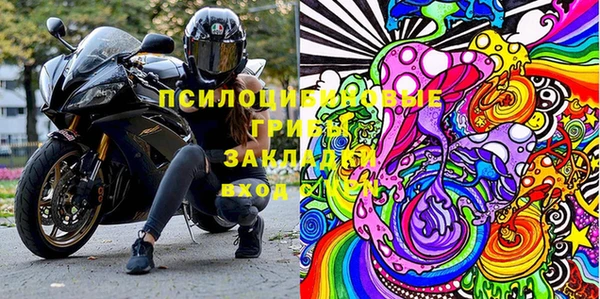 ПСИЛОЦИБИНОВЫЕ ГРИБЫ Белокуриха